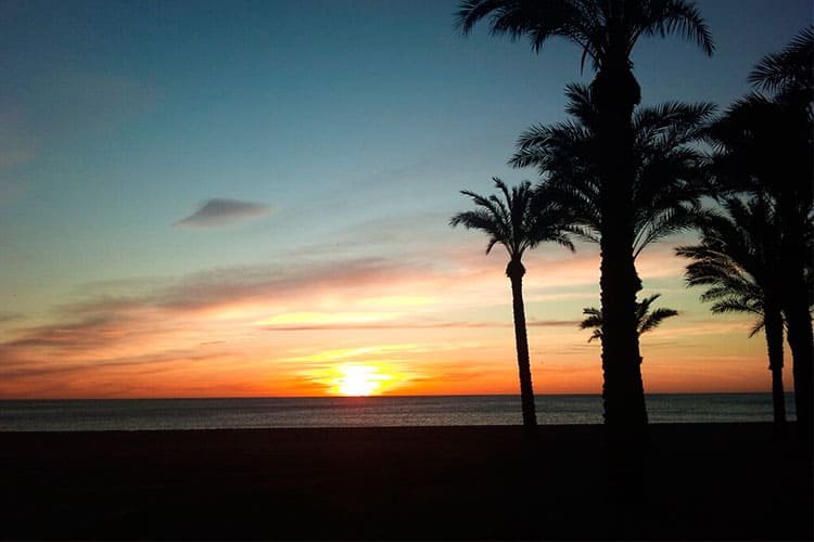 playa de los alamos malaga