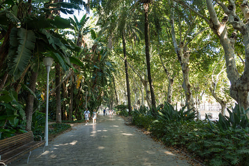 Parque de Malaga