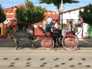 Horse drawn carriage at the feria de malaga 2022