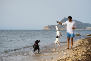 playas para perros en malaga