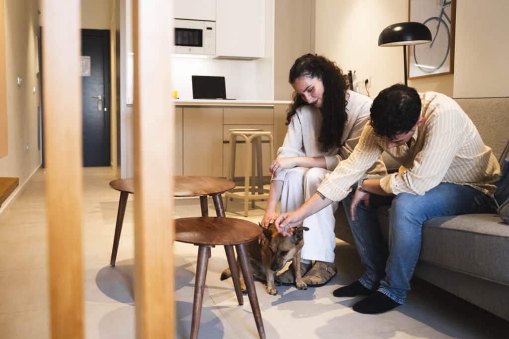 planifica-tu-viaje-con-mascota